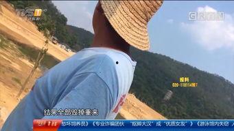 河源今日一线爆料,揭秘背后惊人真相 第3张 河源今日一线爆料,揭秘背后惊人真相 第3张